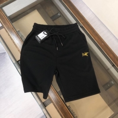 Arcteryx Short Pants